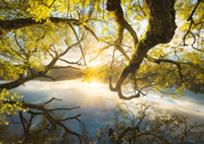 Opakowanie Puzzle Schmidt 1000 Stefan Hefele Promyk słońca