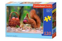 Opakowanie Puzzle Squirrel's Supplies 120