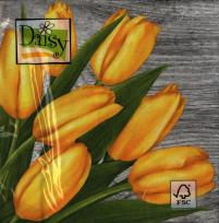 Okładka książki Serwetka Daisy SDWI003101