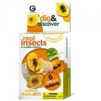 Opakowanie Wykopaliska owadów Biedronka