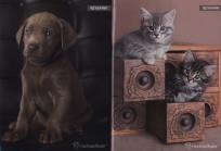 Opakowanie Zeszyt A5 Rachael Hale w kratkę 80 kartek 5 sztuk mix