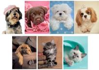 Opakowanie Zeszyt A5 RachaelHale w linie 54 kartki