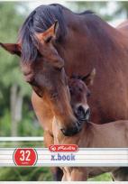 Opakowanie Zeszyt x.book w trzy linie dwukolorowe 32 kartki Animals 10 sztuk