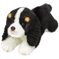 Opakowanie Leżący King Charles Spaniel 30 cm SUKI