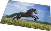 Opakowanie Mata na biurko ze zdjęciem Konie