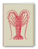 Opakowanie Notatnik ozdobny A5 64 kartki BR NB S07A