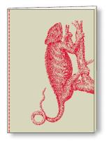 Opakowanie Notatnik ozdobny A5 64 kartki BR NB S08A