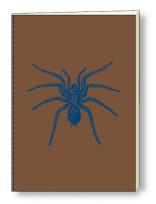 Opakowanie Notatnik ozdobny A5 64 kartki BR NB S11A