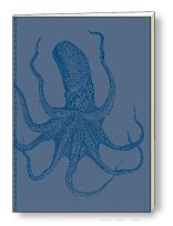 Opakowanie Notatnik ozdobny A5 64 kartki BR NB S13A