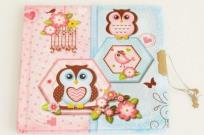 Opakowanie Pamiętnik zamykany 135x135 Sowa niebieski 358792