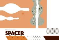 Okładka książki Spacer (okładka autorska)