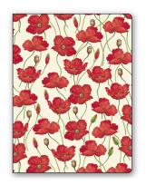 Okładka książki Teczka na dokumenty FF 583B