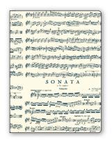 Okładka książki Teczka na dokumenty FF V20B