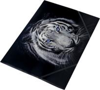 Opakowanie Tiger teczka na gumkę z nadrukiem A4 pp