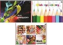 Opakowanie Blok rysunkowy A4/20K Economy (10szt)