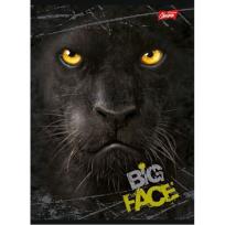 Opakowanie Brulion A5 w kratkę 96 kartek Puma