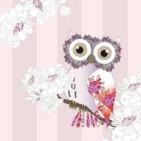 Opakowanie Karnet Swarovski kwadrat CL0511