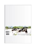 Okładka książki Karton biały A3 10 arkuszy 230g/m2