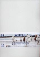 Opakowanie Karton Kraft A4 biały 10 arkuszy 230g/m2