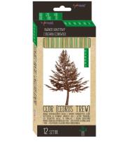 Opakowanie Ołówek sześciokątny z drewna cedrowego 12szt HB-2H