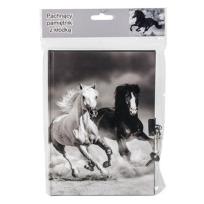 Opakowanie Pamiętnik 17-3650K