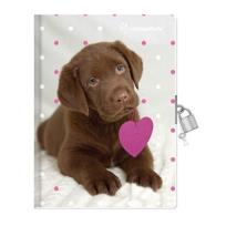 Opakowanie Pamiętnik Rachael Hale RHP-3650