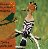 Okładka książki Ptasi śpiew bez pod. muz. Zgadnij jaki to ptak? CD