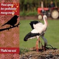 Okładka książki Ptasi śpiew bez podkładu muz. Ptaki na wsi CD