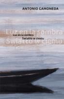 Okładka książki Światło w cieniu