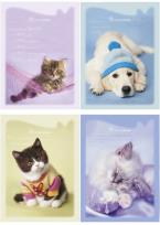 Opakowanie Wkłady do segregatora A5 8 kartek z kolorowankami i naklejkami