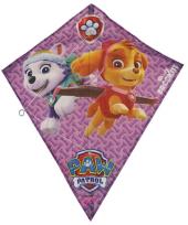 Opakowanie Brookite Latawiec Paw Psi Patrol