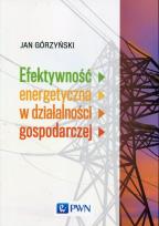 Okładka książki Efektywność energetyczna w działalności gospodarczej