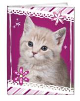 Opakowanie Notes gładki 13x18cm Kotek