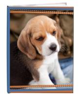 Opakowanie Notes gładki 13x18cm Szczeniak