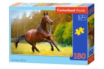 Opakowanie Puzzle 180 Autumn Wind