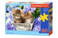 Opakowanie Puzzle Cute Kittens 60