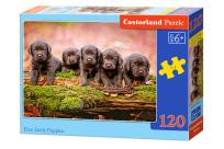 Opakowanie Puzzle Five Little Puppies 120
