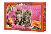 Opakowanie Puzzle Kittens on Garden Chair 1000