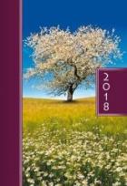 Opakowanie Terminarz 2018 A5 kolor - drzewo