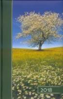 Opakowanie Terminarz 2018 B6 kolor - drzewo
