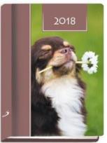 Opakowanie Terminarz 2018 - B7 Kolorowy - pies