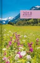 Opakowanie Terminarz 2018 Futuro - łąka