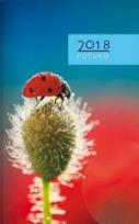 Opakowanie Terminarz 2018 Futuro - z biedronką