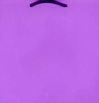 Okładka książki Torebka ozd. T-9  jednobarwna OP=10SZT.  MIX KOLORÓW