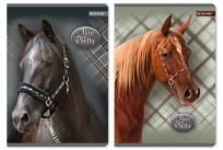 Okładka książki Zeszyt A5 w kratkę 60 kartek