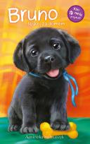 Okładka książki Bruno tęskni za domem