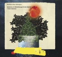 Okładka książki Elegia o śpiewających drzwiach i inne wiersze