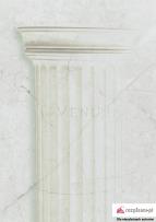 Okładka książki Juwenilia