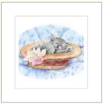 Opakowanie Karnet rysowany kot w kapeluszu 16x16 + koperta