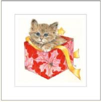 Opakowanie Karnet rysowany kot w pudełku 16x16 + koperta